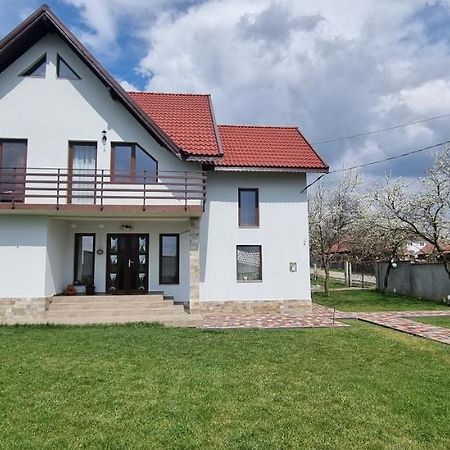 Pensiunea Casa Mada Бая-де-Ф'єр Екстер'єр фото