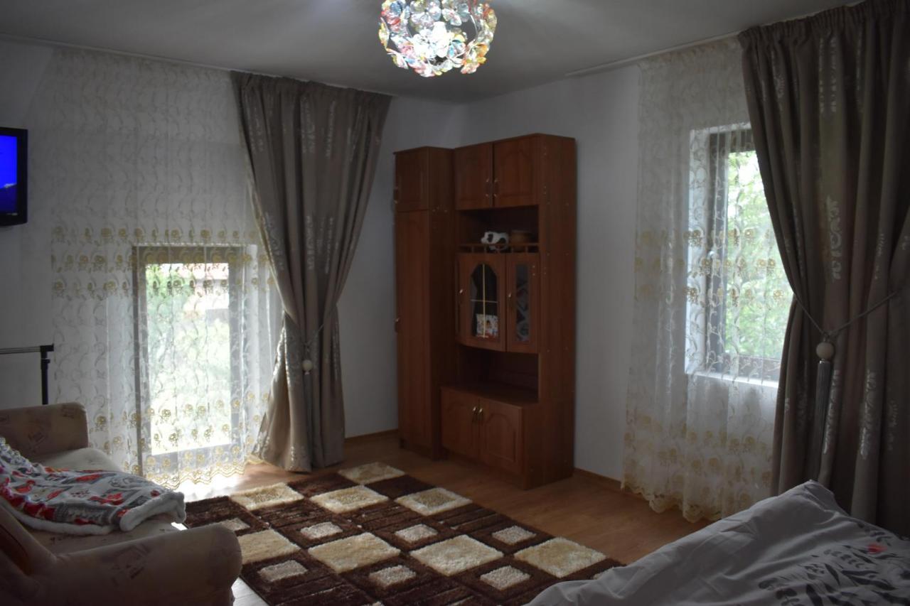 Pensiunea Casa Mada Бая-де-Ф'єр Екстер'єр фото