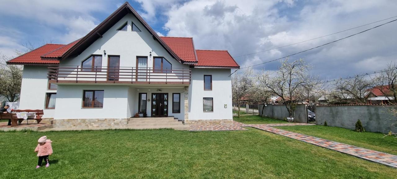 Pensiunea Casa Mada Бая-де-Ф'єр Екстер'єр фото